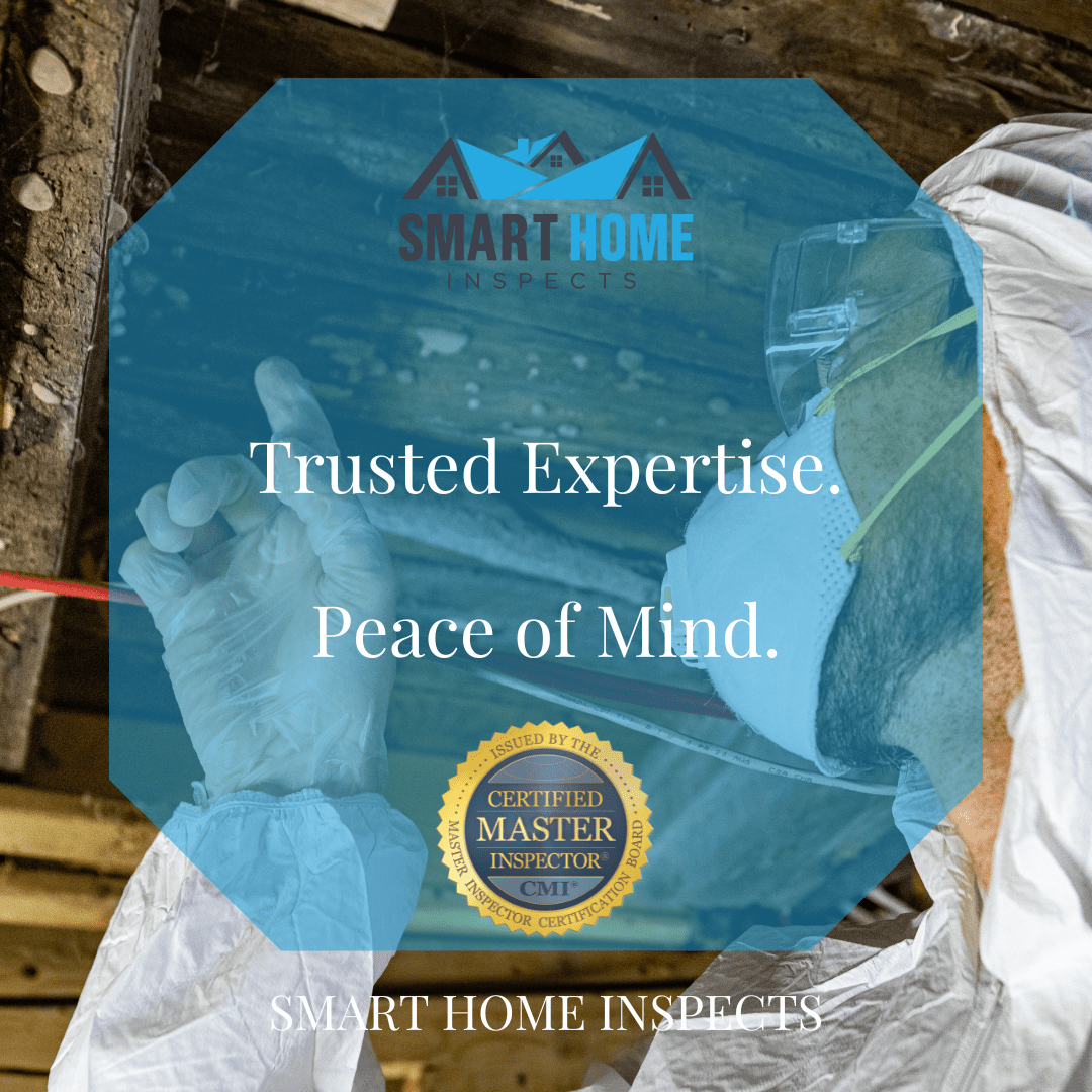 Mold Assessment and Prevention - Smart Home Inspects